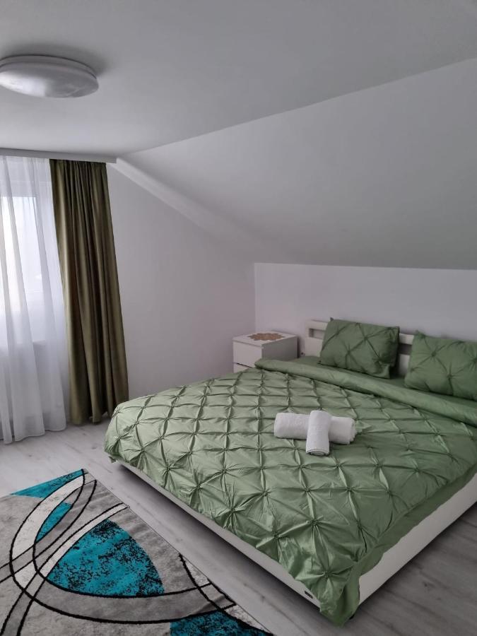 Izabella Guest House Sacele Exterior photo