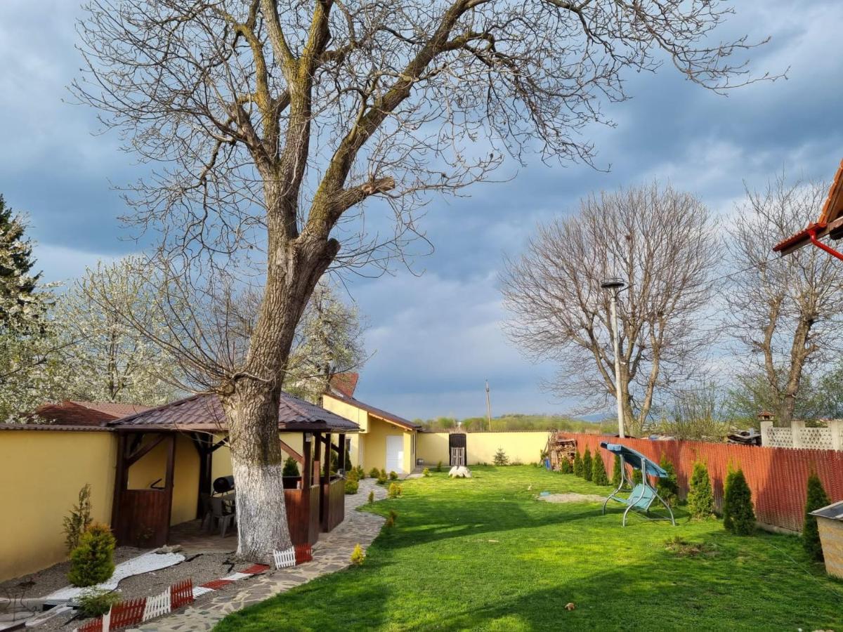 Izabella Guest House Sacele Exterior photo