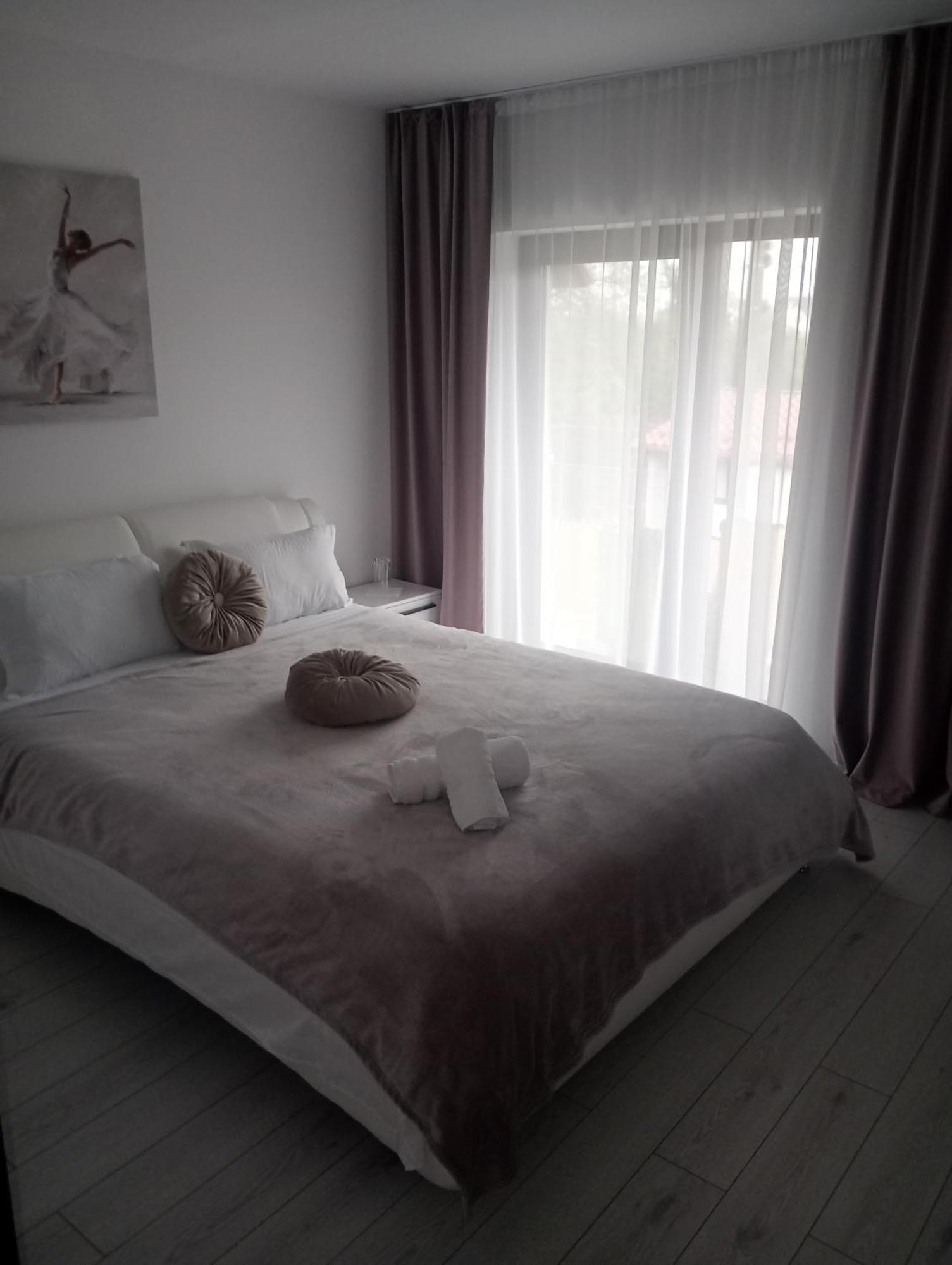 Izabella Guest House Sacele Exterior photo