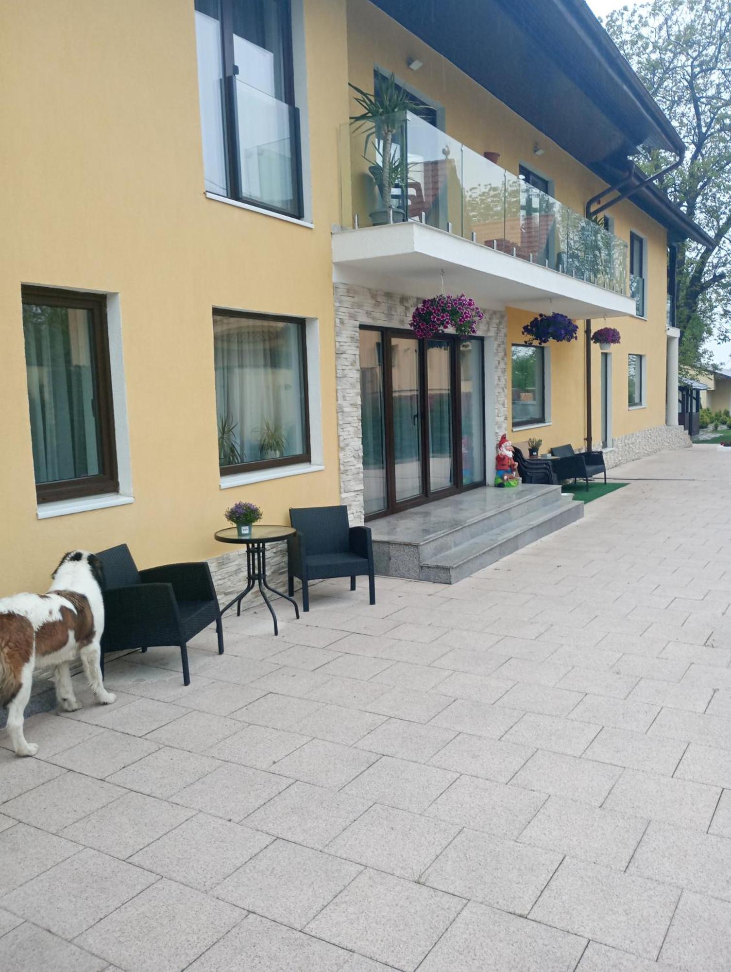 Izabella Guest House Sacele Exterior photo