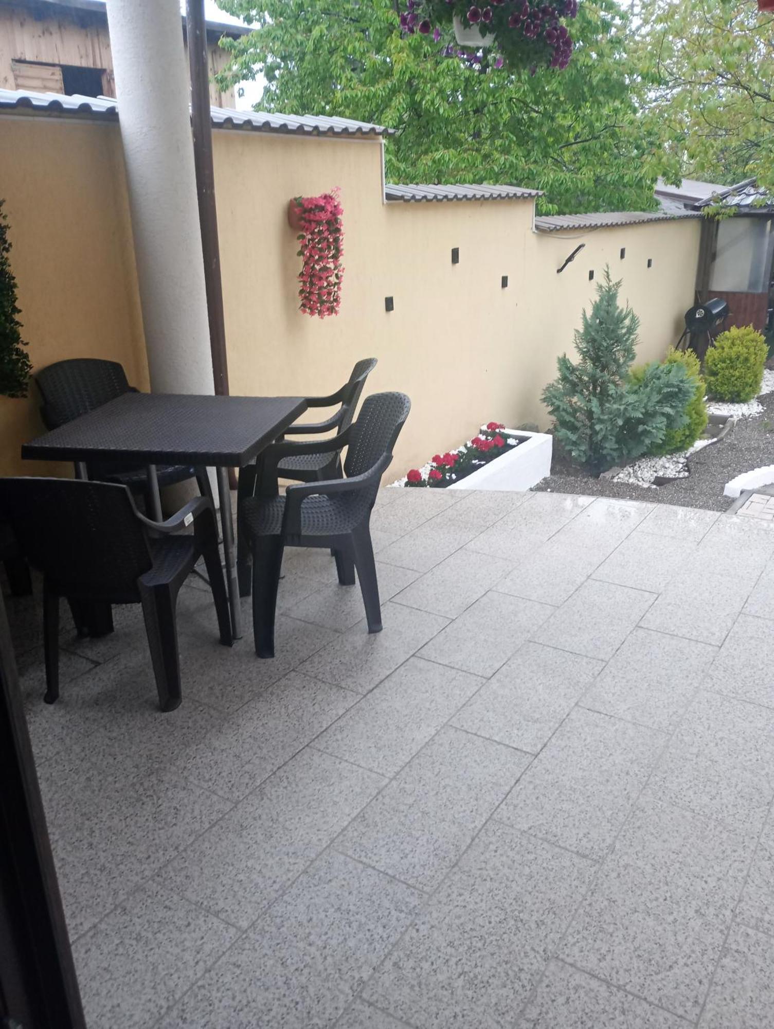 Izabella Guest House Sacele Exterior photo