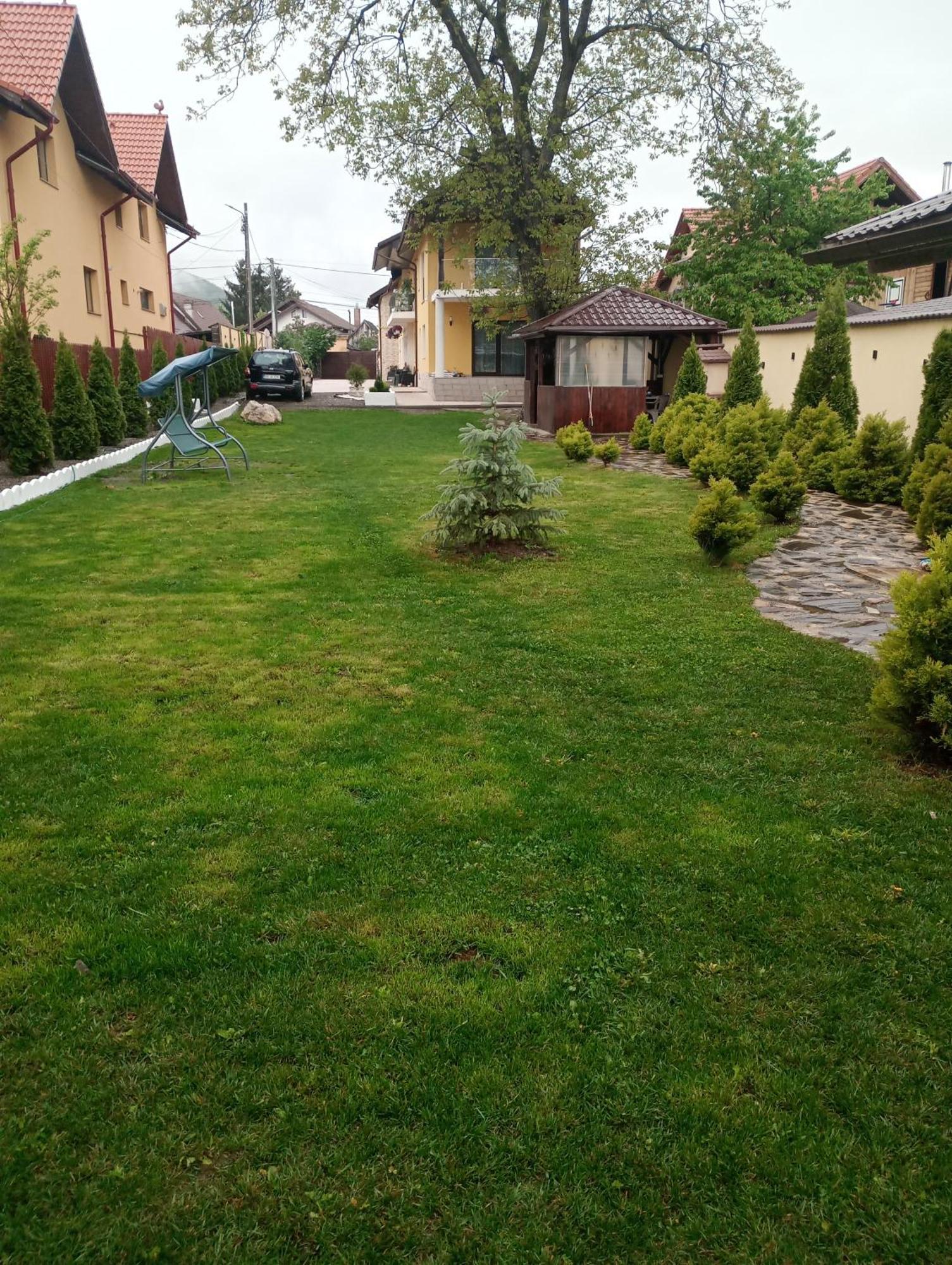 Izabella Guest House Sacele Exterior photo
